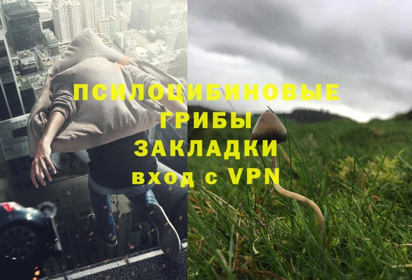 гашик Балабаново