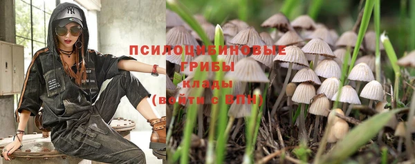 гашик Балабаново